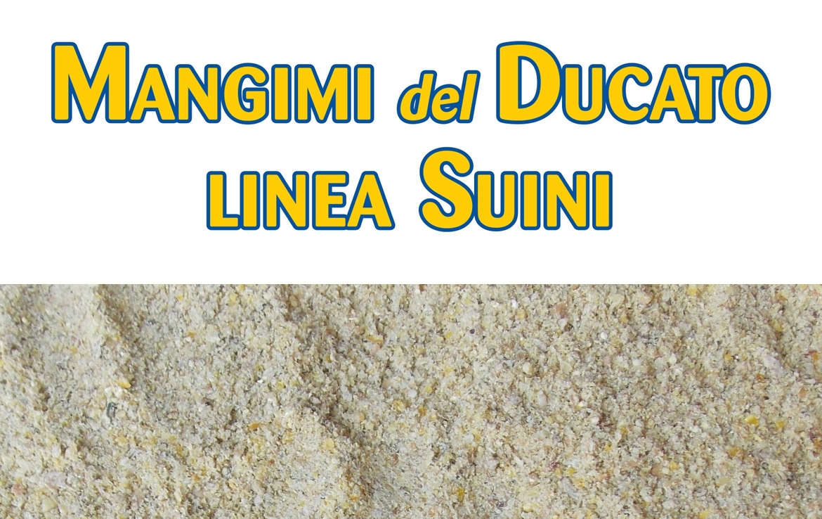 MANGIMI SUINI